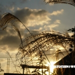 過去写真 その2