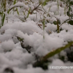 過去写真 その3