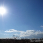 過去写真 その6