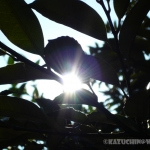 過去写真 その13