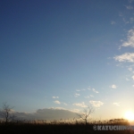 過去写真 その14