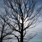 過去写真 その22