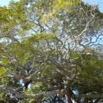 過去写真 その29