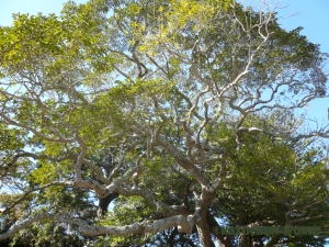 過去写真 その29