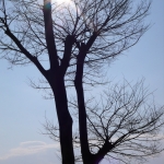 過去写真 その33