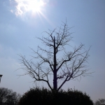 過去写真 その34