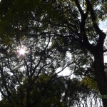 過去写真 その35