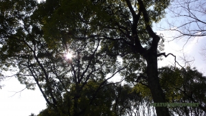 過去写真 その35