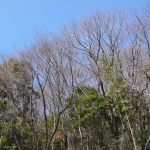 過去写真 その50