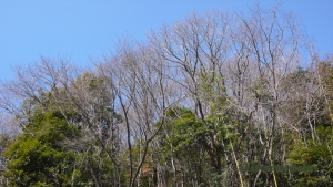 過去写真 その50