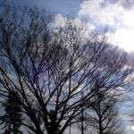 てすと あんど とらい 3