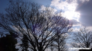 てすと あんど とらい 3