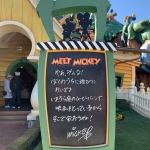 ディズニー 途中経過