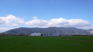 過去写真 その54