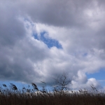 過去写真 その61