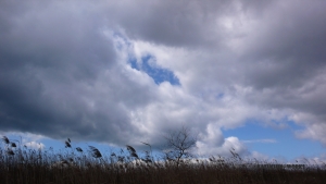 過去写真 その61