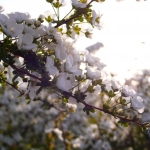 過去写真 その64