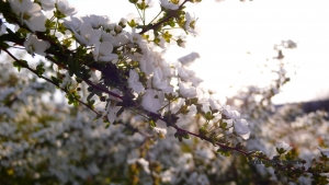 過去写真 その64