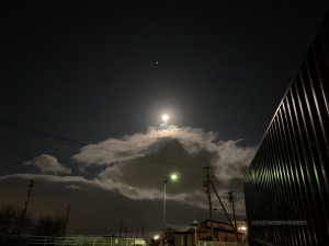 寒い日が続くね