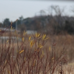 寒い寒いな...一日