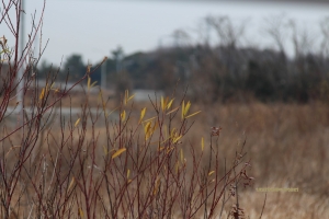寒い寒いな...一日