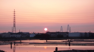 過去写真 その66