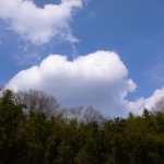 過去写真 その73 (日記付き)