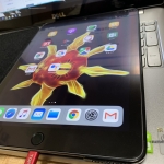 いただきものですが