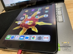 いただきものですが