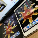 いただきものですが...再び