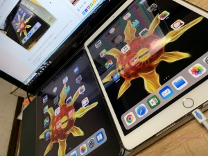 いただきものですが...再び