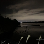 なんだか疑問なこと