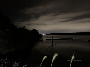 なんだか疑問なこと