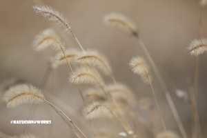 寝てしまいまして