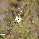 いい加減なんとかしようよ...いじめ