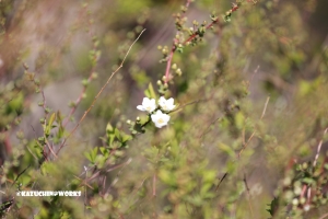 いい加減なんとかしようよ...いじめ