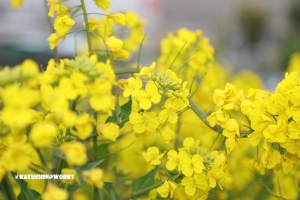 昨日には続きがありまして