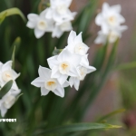 徐々になれてきたかも