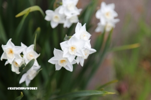 徐々になれてきたかも