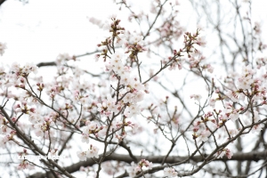 さぁ、週末ですよ