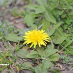 なんか変だよね