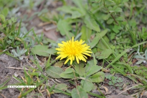 なんか変だよね