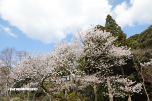 伊勢の研修旅行 伊勢神宮の巻 下
