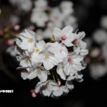 体がバキバキいってます...