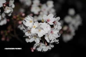 体がバキバキいってます...