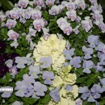 常識と非常識の境目