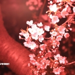 さぁ、今が踏ん張り時