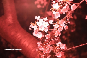 さぁ、今が踏ん張り時