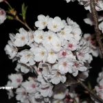 身体がおかしいのか