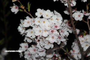 身体がおかしいのか